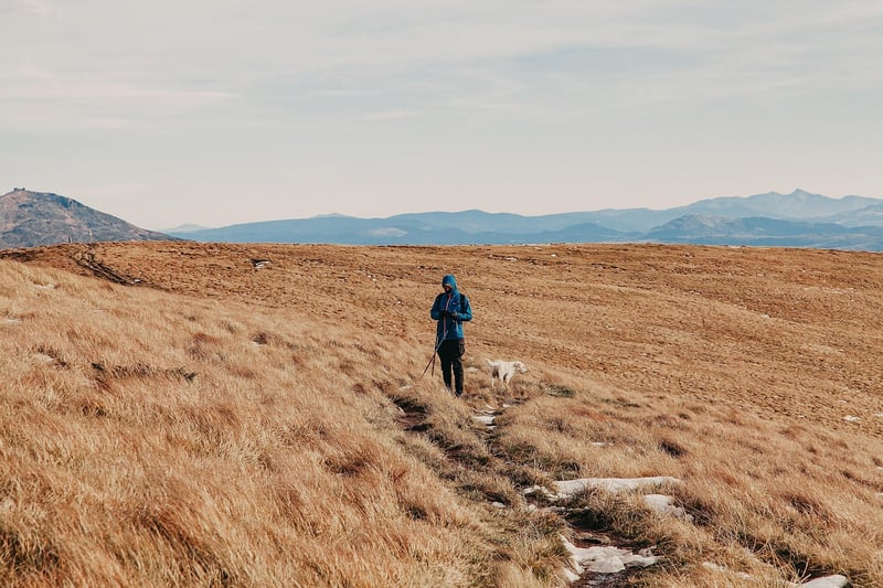 Hiking in the Rockies
